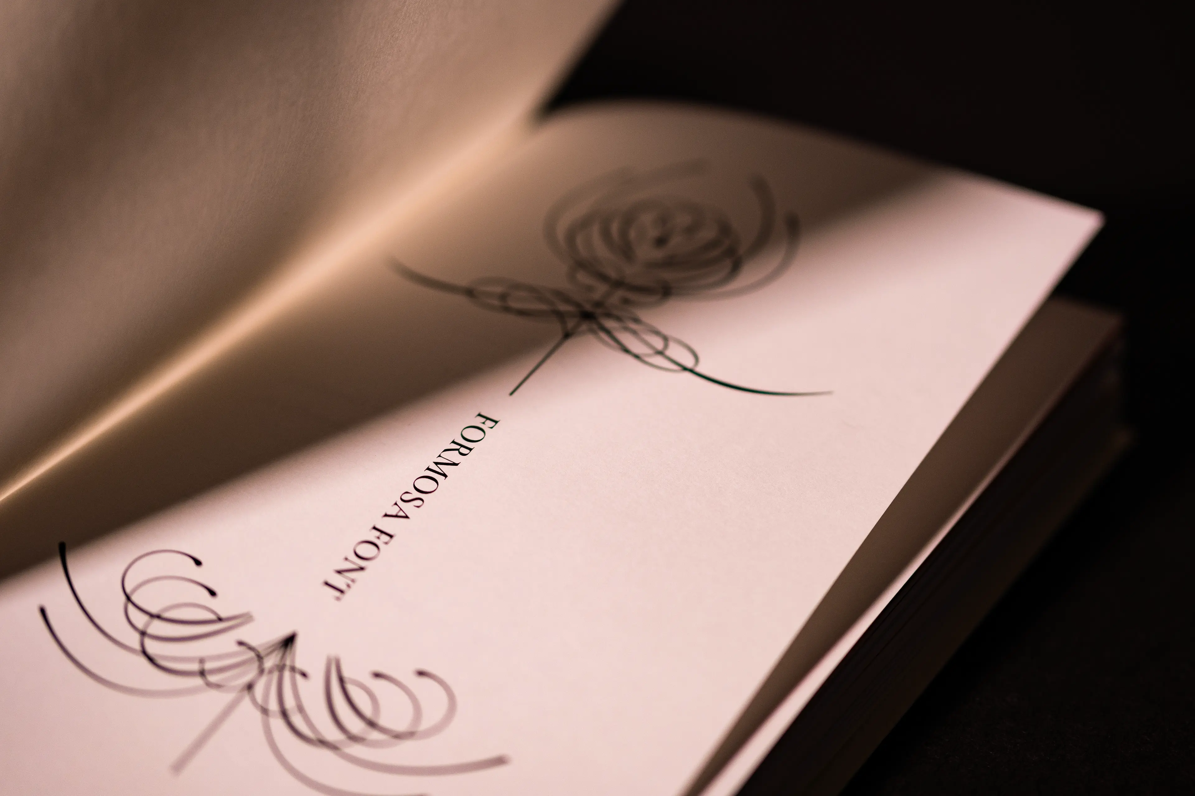A close-up of an open book spreads across a dark surface, its white pages bearing the text "FORMOSA FONT" in delicate serif type alongside flowing, ink-drawn calligraphic flourishes that resemble spiraling botanical forms. The soft-focus photography and dramatic low-key lighting emphasize the refined, hand-crafted quality of the printed design.
