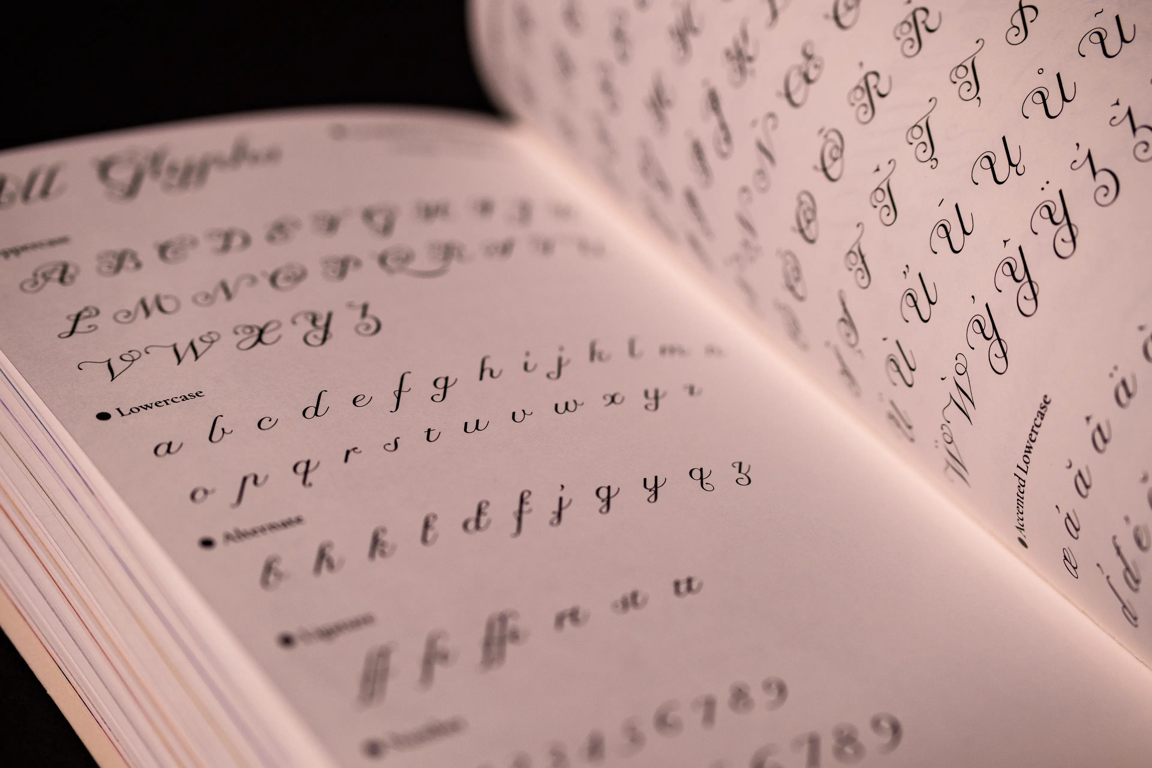 An open specimen book displays the full glyph set of an ornate calligraphic typeface, with uppercase and lowercase letterforms arranged in rows across cream-white pages against a dark background. The elegant script characters feature elaborate swashes and fine hairline strokes, shown at multiple weights and sizes in a clean typographic layout.