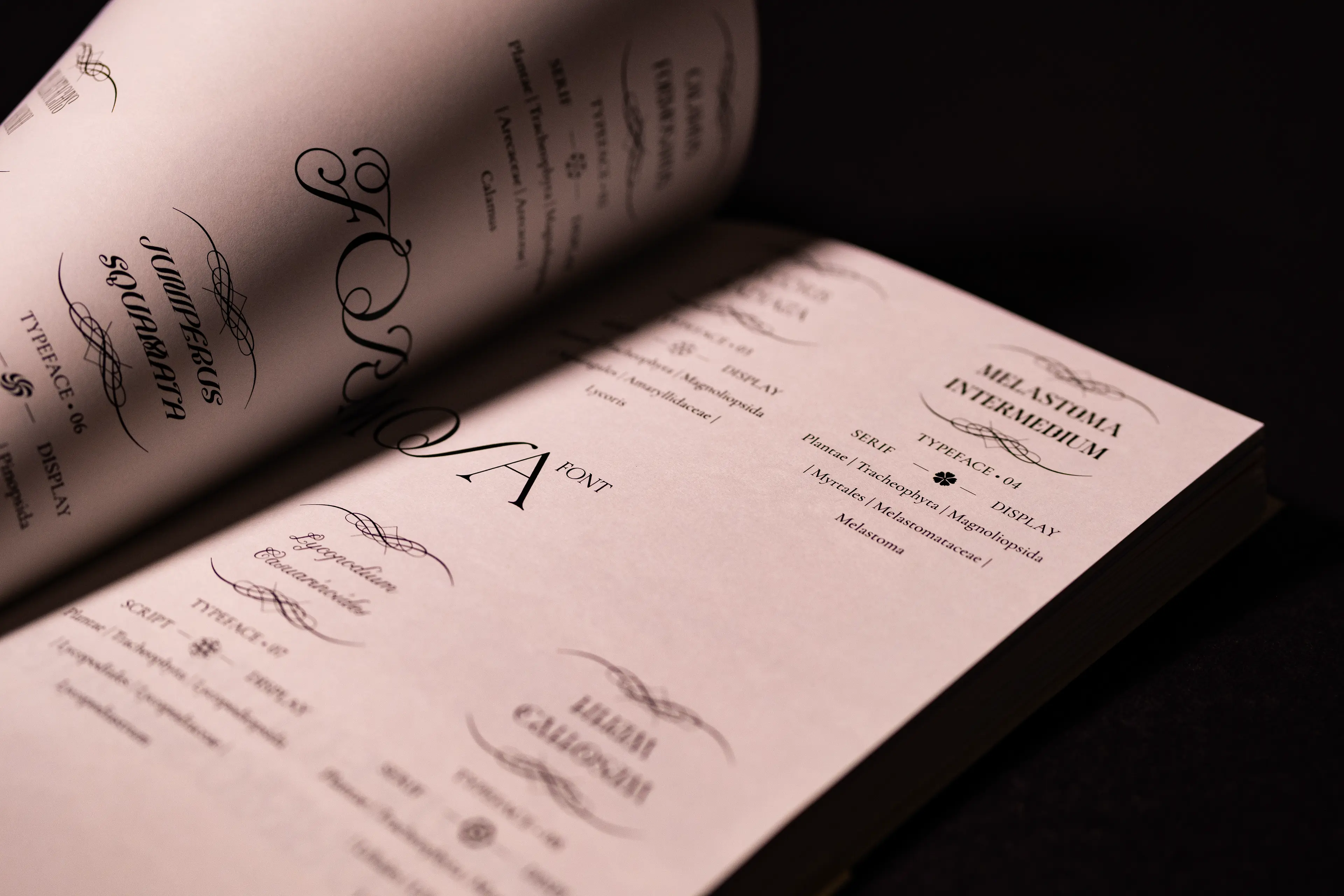An open spread of The Book of Formosa Font showing elegantly typeset specimen pages with ornate serif and calligraphic typefaces, floral ornaments, and structured font information layouts printed in black on cream paper against a dark background.