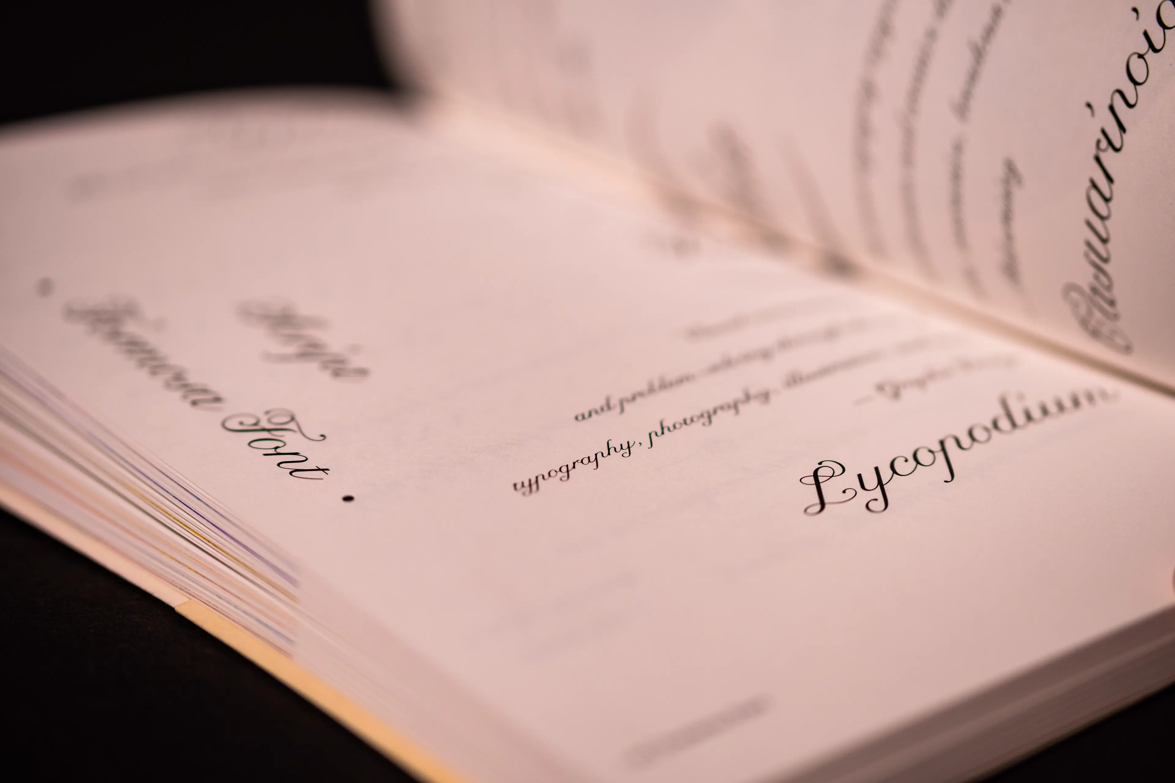 An open book photographed at a shallow depth of field, showing white pages printed with elegant cursive script typography in black ink, including the word "Lycopodium" prominently on the right page. The soft-focus composition emphasizes the graceful letterforms of the Formosa Font against crisp white paper.